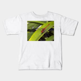 Red Dragonfly Kids T-Shirt